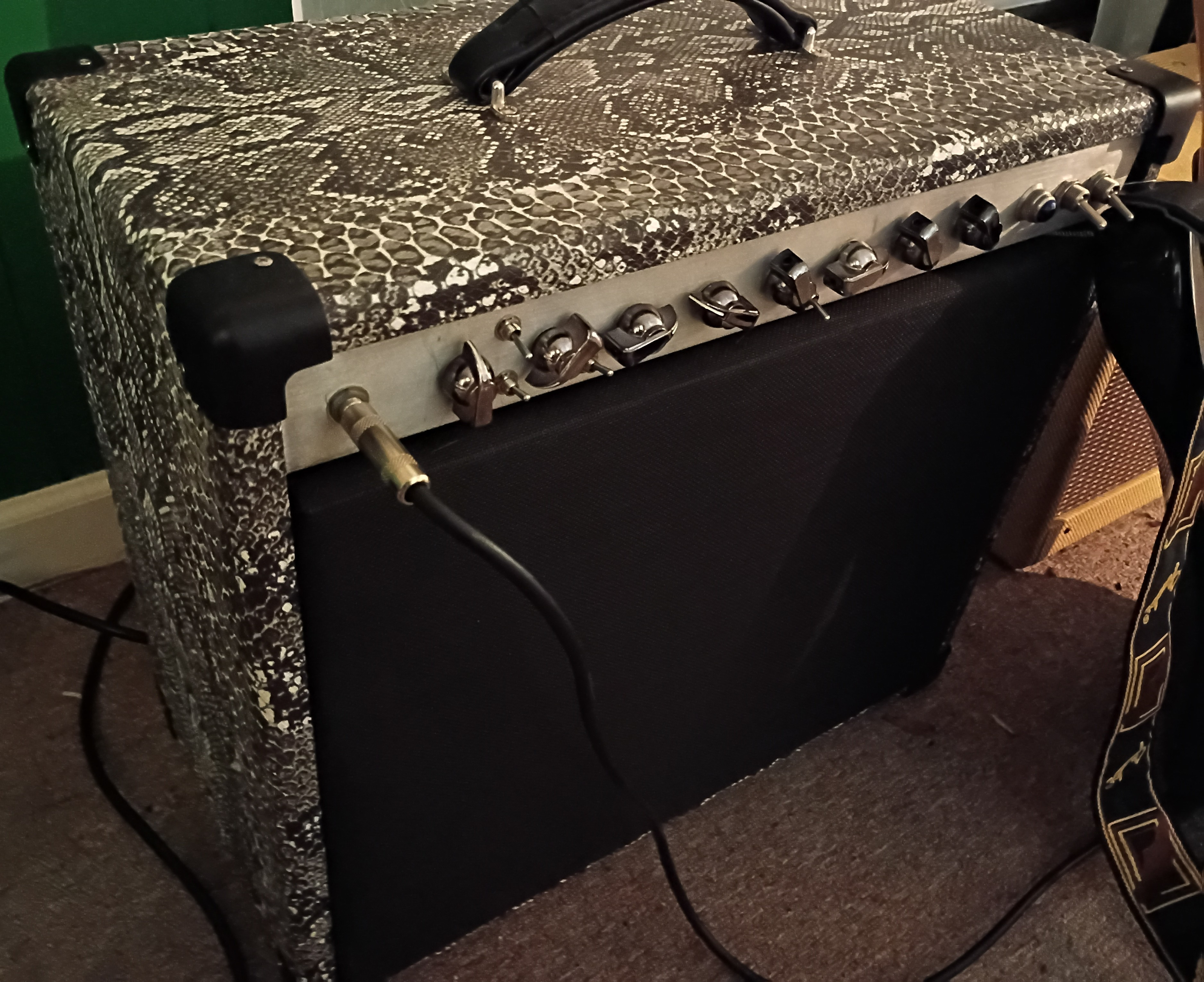 snakeskin amp